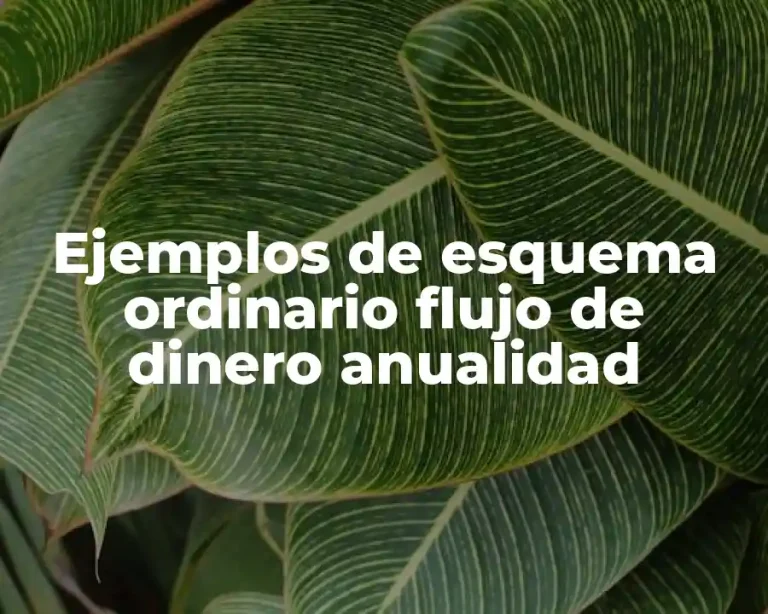 Ejemplos de esquema ordinario flujo de dinero anualidad