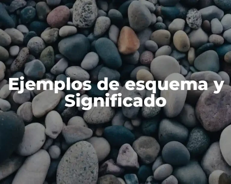 Ejemplos de esquema y Significado
