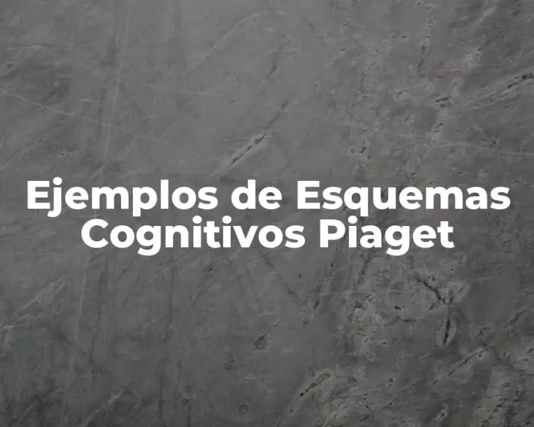 Ejemplos de Esquemas Cognitivos Piaget