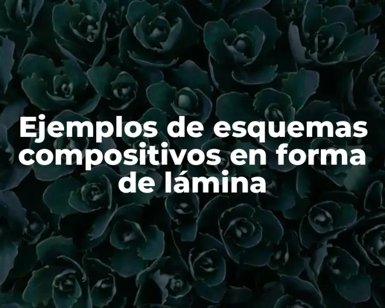 Ejemplos de esquemas compositivos en forma de lámina