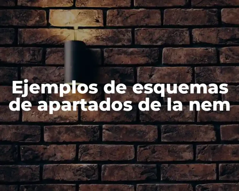 Ejemplos de esquemas de apartados de la nem