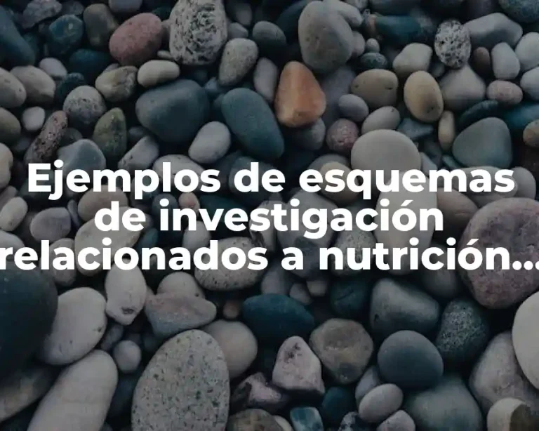 Ejemplos de esquemas de investigación relacionados a nutrición infantil