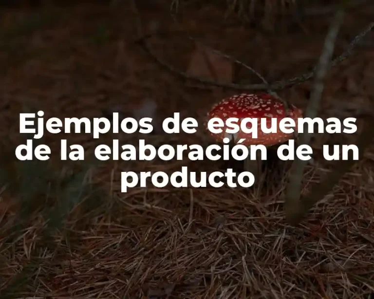 Ejemplos de esquemas de la elaboración de un producto
