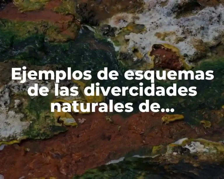 Ejemplos de esquemas de las divercidades naturales de Tamaulipas y Significado