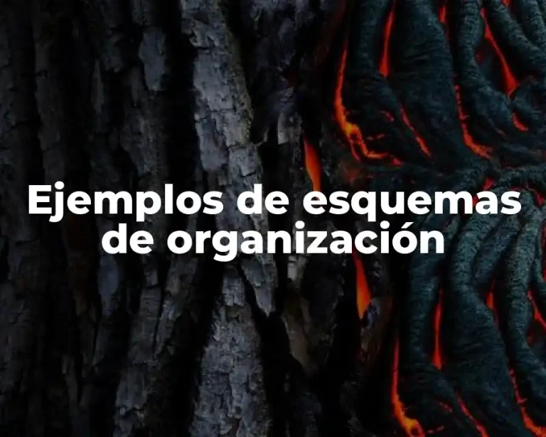Ejemplos de esquemas de organización