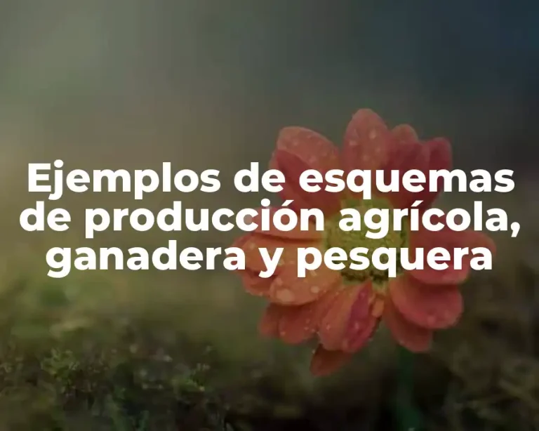 Ejemplos de esquemas de producción agrícola, ganadera y pesquera