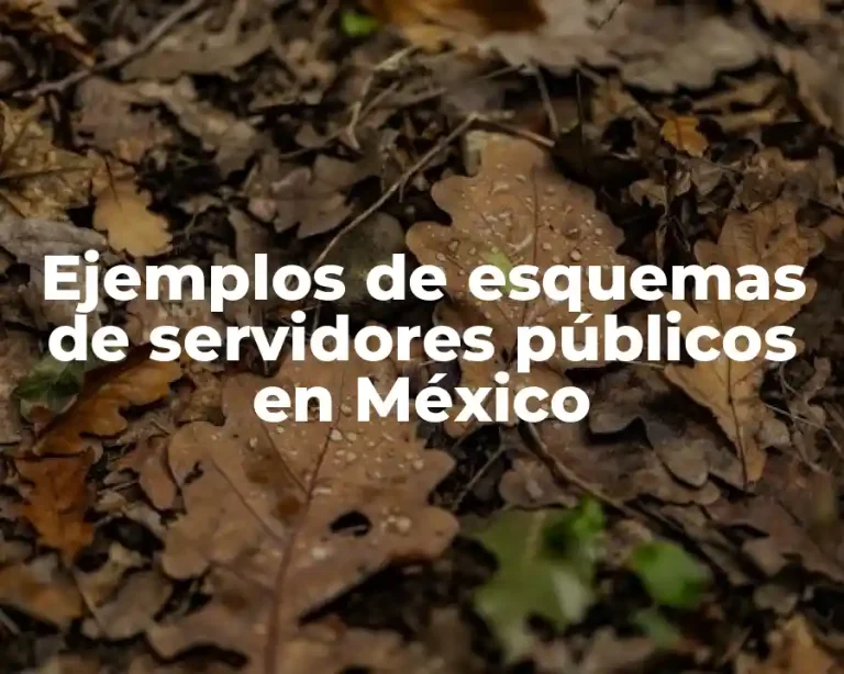 Ejemplos de esquemas de servidores públicos en México