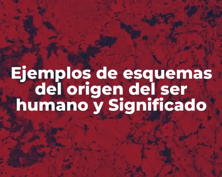 Ejemplos de esquemas del origen del ser humano y Significado