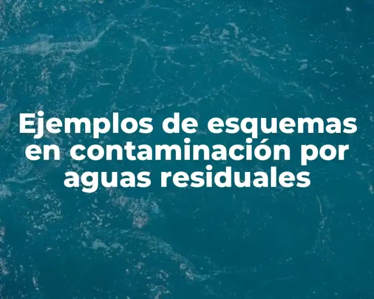 Ejemplos de esquemas en contaminación por aguas residuales