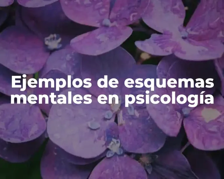 Ejemplos de esquemas mentales en psicología