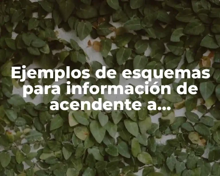 Ejemplos de esquemas para información de acendente a desendente