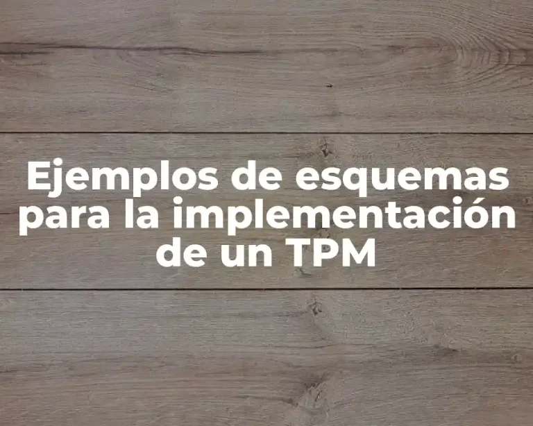 Ejemplos de esquemas para la implementación de un TPM