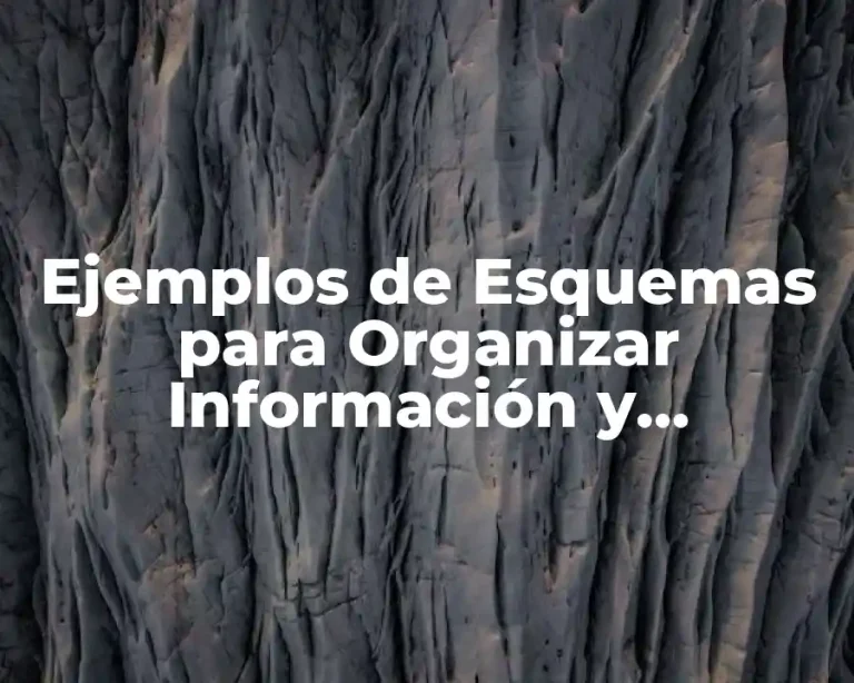 Ejemplos de Esquemas para Organizar Información y Significado