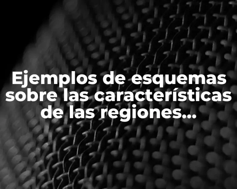 Ejemplos de esquemas sobre las características de las regiones tropicales