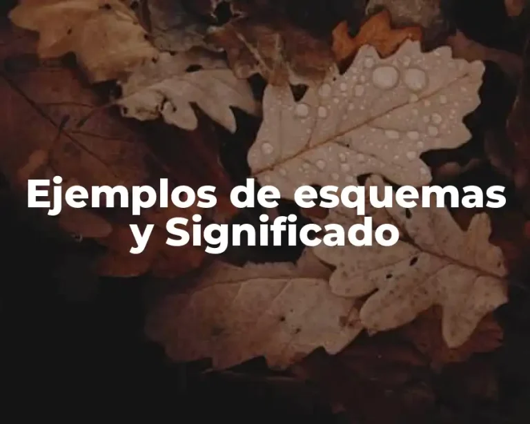 Ejemplos de esquemas y Significado