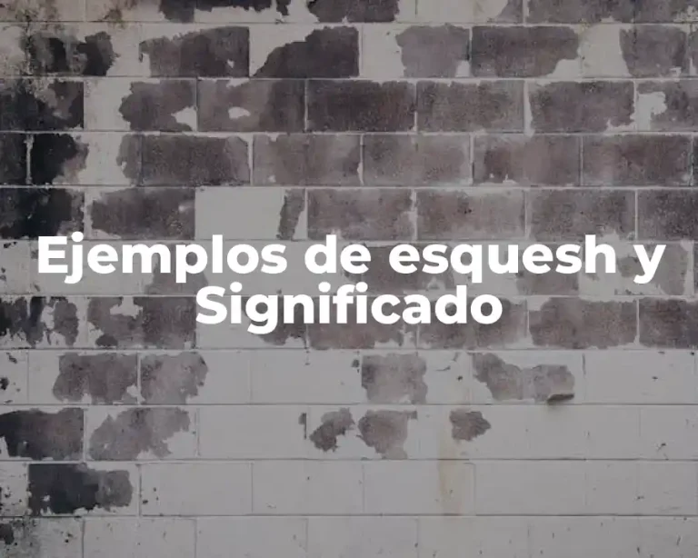 Ejemplos de esquesh y Significado