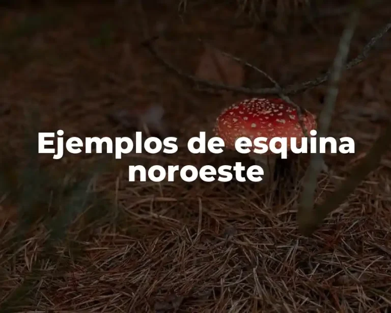 Ejemplos de esquina noroeste