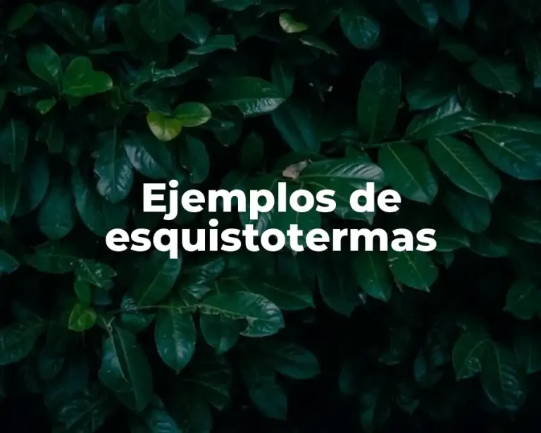 Ejemplos de esquistotermas