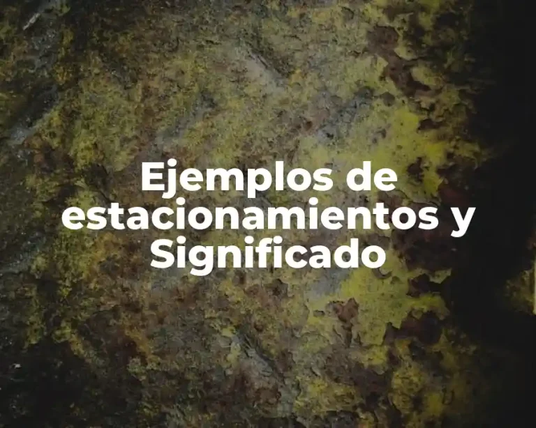 Ejemplos de estacionamientos y Significado