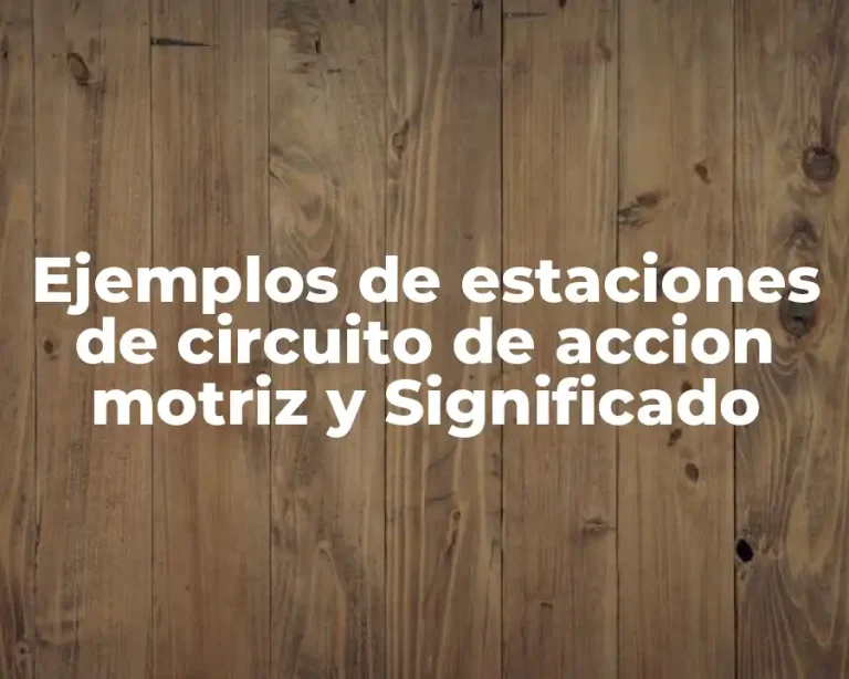Ejemplos de estaciones de circuito de accion motriz y Significado
