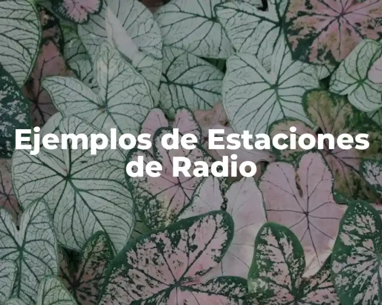 Ejemplos de Estaciones de Radio