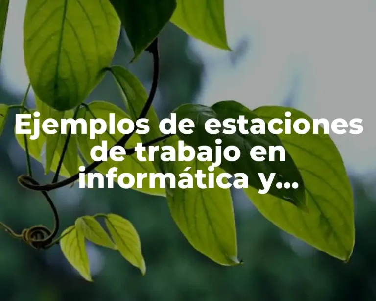 Ejemplos de estaciones de trabajo en informática y Significado