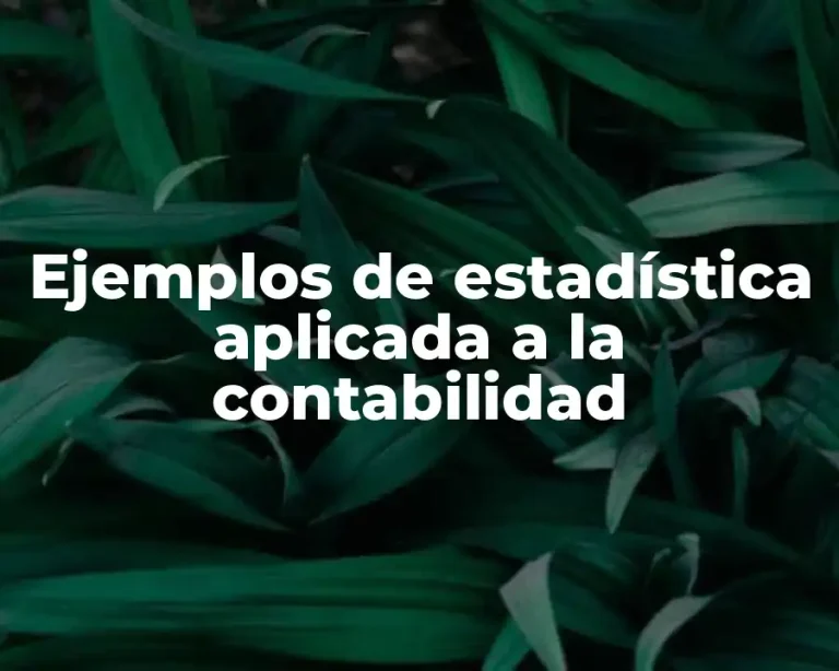 Ejemplos de estadística aplicada a la contabilidad