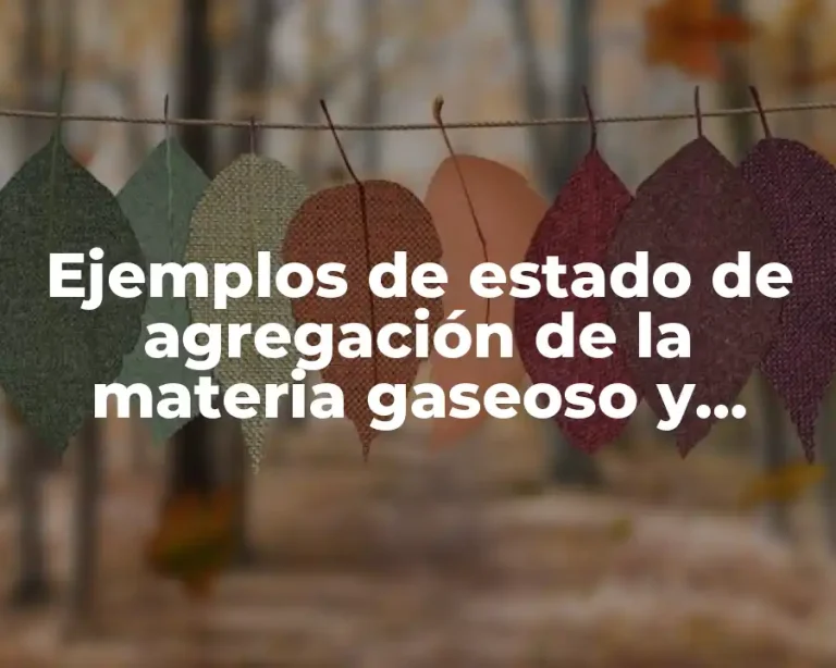 Ejemplos de estado de agregación de la materia gaseoso y Significado