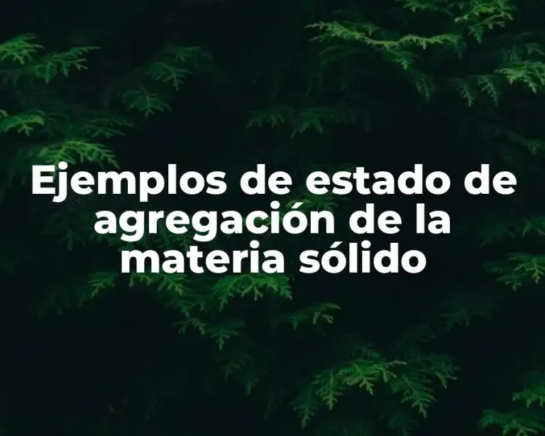 Ejemplos de estado de agregación de la materia sólido