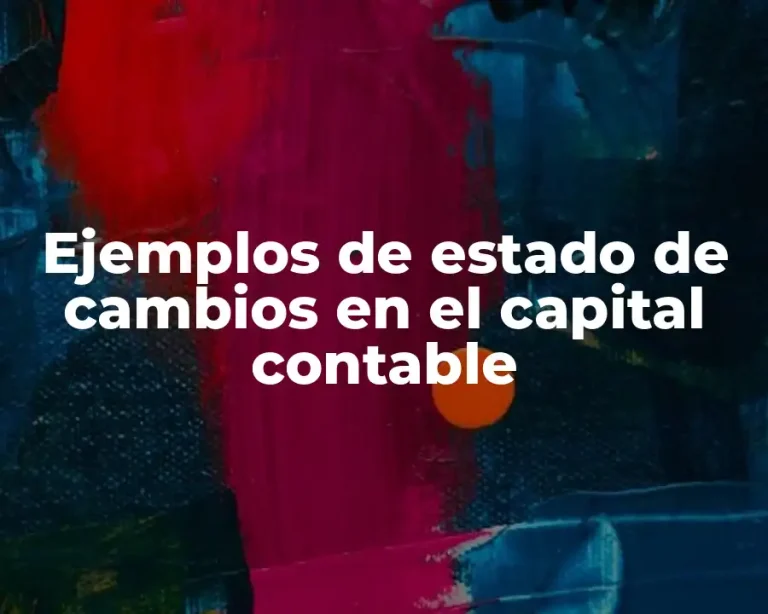 Ejemplos de estado de cambios en el capital contable