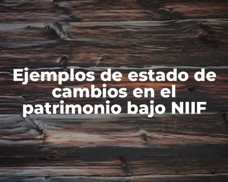 Ejemplos de estado de cambios en el patrimonio bajo NIIF