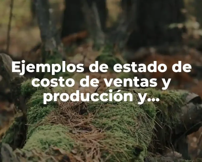 Ejemplos de estado de costo de ventas y producción y Significado