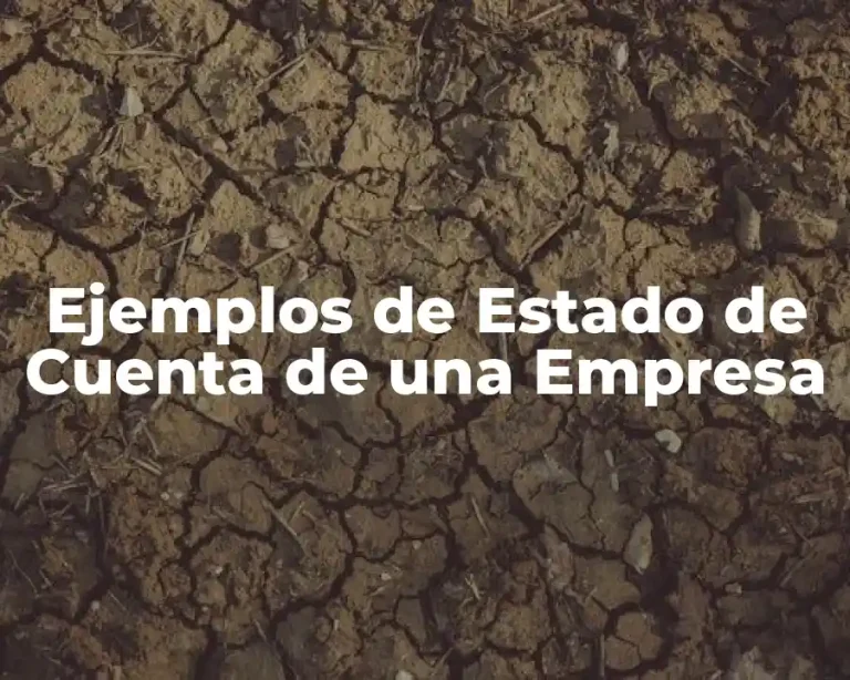 Ejemplos de Estado de Cuenta de una Empresa
