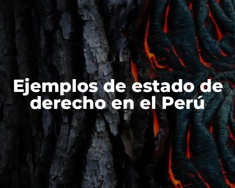 Ejemplos de estado de derecho en el Perú