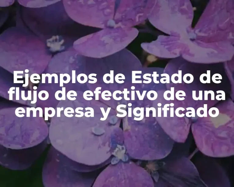 Ejemplos de Estado de flujo de efectivo de una empresa y Significado