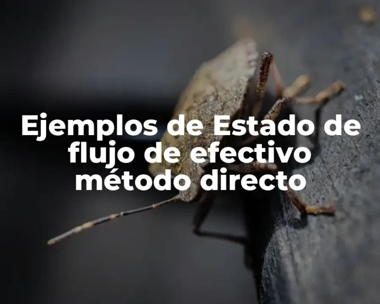 Ejemplos de Estado de flujo de efectivo método directo