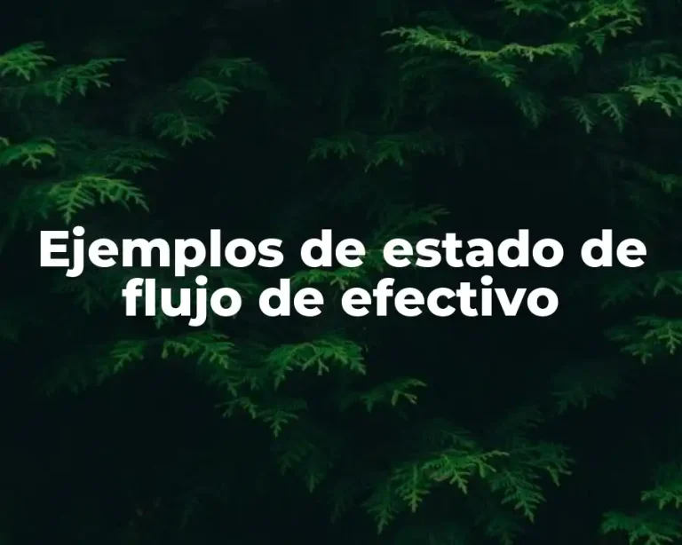 Ejemplos de estado de flujo de efectivo