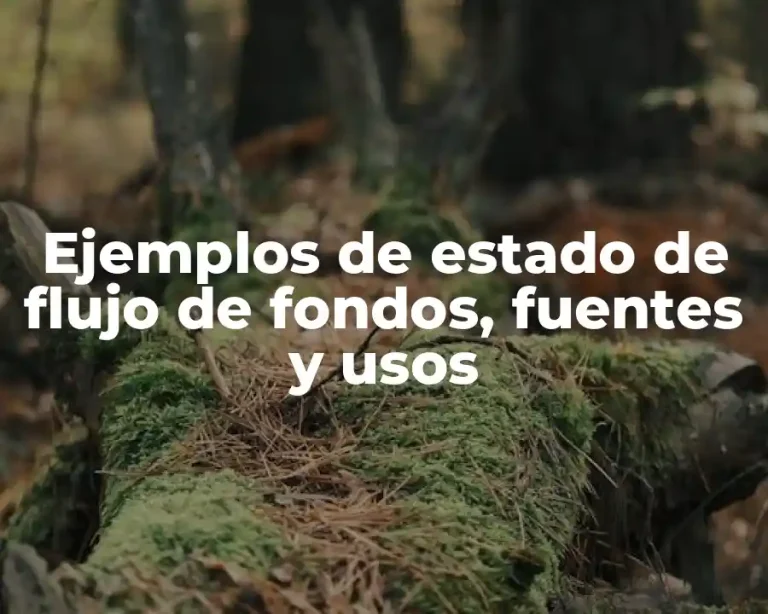 Ejemplos de estado de flujo de fondos, fuentes y usos