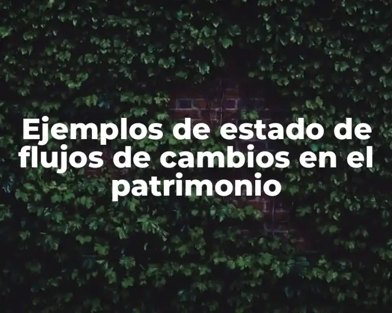 Ejemplos de estado de flujos de cambios en el patrimonio