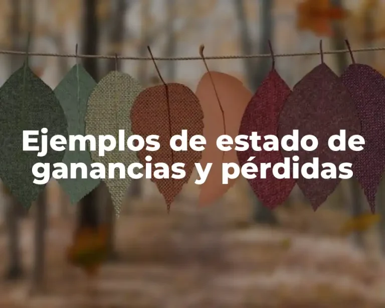 Ejemplos de estado de ganancias y pérdidas