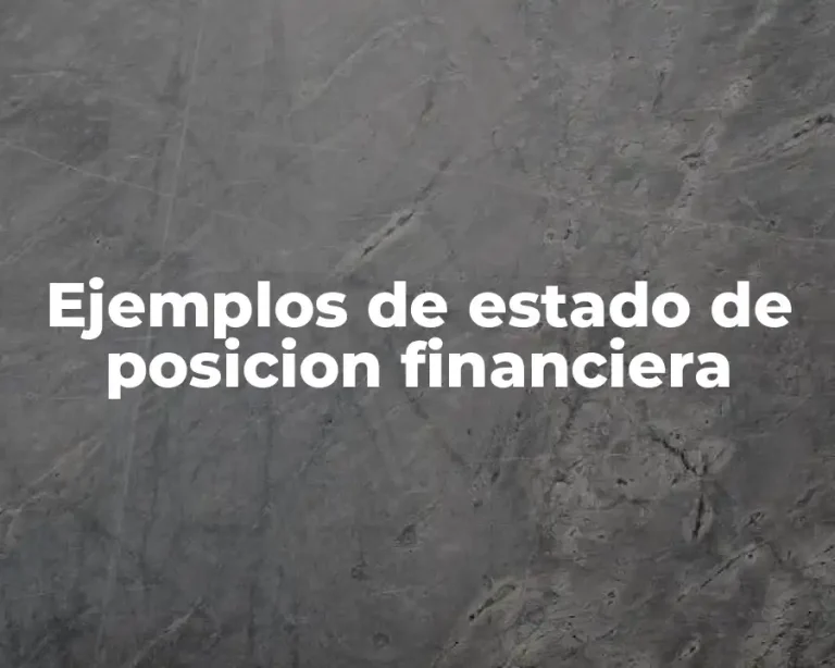 Ejemplos de estado de posicion financiera