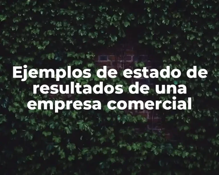 Ejemplos de estado de resultados de una empresa comercial