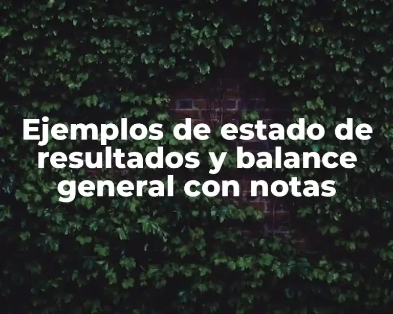 Ejemplos de estado de resultados y balance general con notas