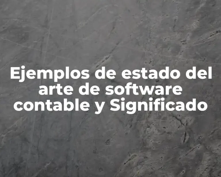 Ejemplos de estado del arte de software contable y Significado
