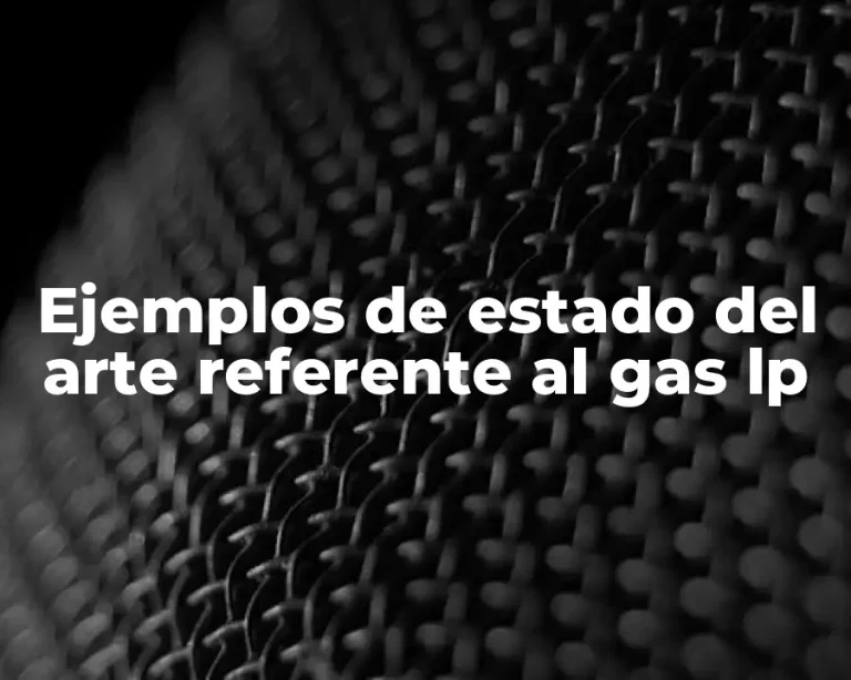 Ejemplos de estado del arte referente al gas lp