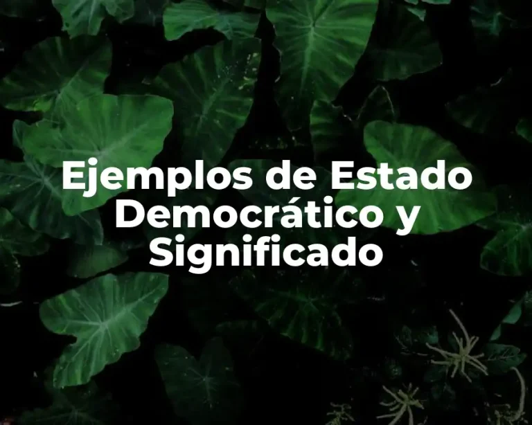 Ejemplos de Estado Democrático y Significado