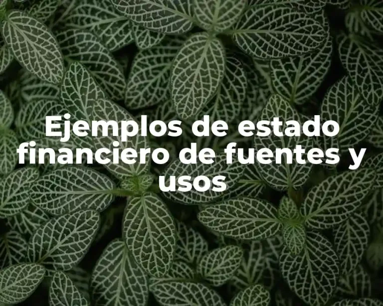 Ejemplos de estado financiero de fuentes y usos