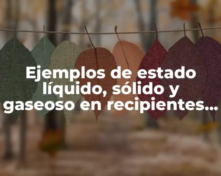 Ejemplos de estado líquido, sólido y gaseoso en recipientes y Significado