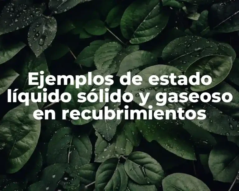 Ejemplos de estado líquido sólido y gaseoso en recubrimientos