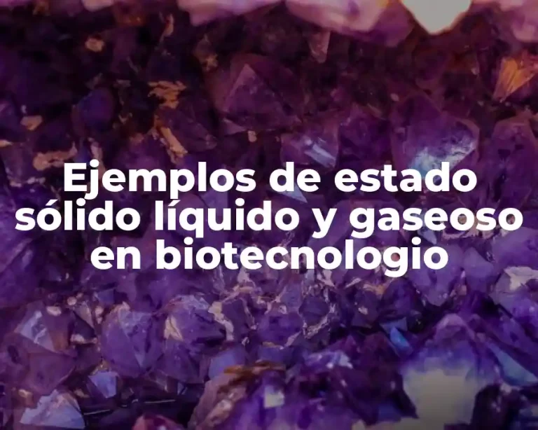 Ejemplos de estado sólido líquido y gaseoso en biotecnologio